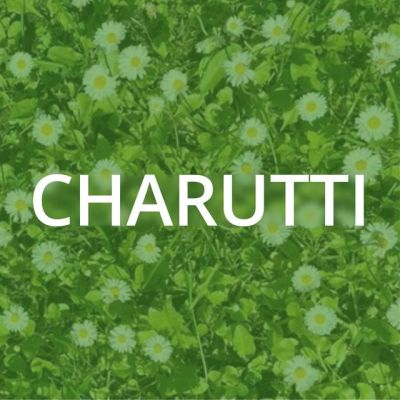 CHARUTTI (Чарутти) №31 - Модная женская одежда!
