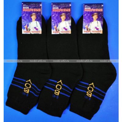 Ростекс (Рус-текс) носки подростковые МД-21 внутри махра с лайкрой чёрные