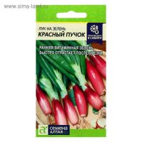 Семена Лук на зелень «Красный пучок», цветной пакет, 0.3 г