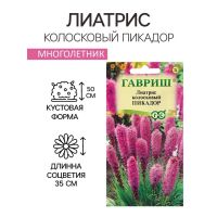 Семена цветов Лиатрис колосковый «Пикадор», 0.05 г, многолетник, «Гавриш»