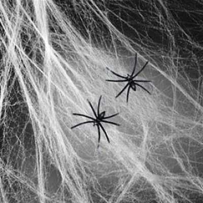 Карнавальный набор «Жуки-пауки в ас-те», паутина