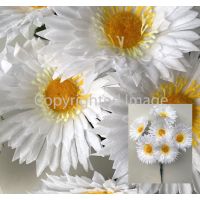 Букет ромашка Белая фасовка 4 шт.