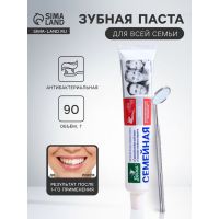 Зубная паста «Весна», антибактериальная, для всей семьи, 90 г