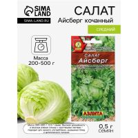 Семена Салат «Айсберг» кочанный, 0.5 г, «Аэлита»