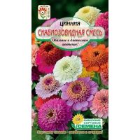 Скабиозовидная, смесь цинния 70см 0,3г (ссс)