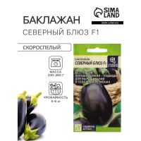 Семена Баклажан «Северный Блюз», F1, 10 шт., «Семена Алтая»