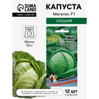 Семена Капуста белокочанная «Мегатон», F1, 10-12 шт., «Уральский дачник»