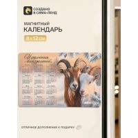 Календарь 2027, магнитный «Исполнения всех желаний», 8×12 см